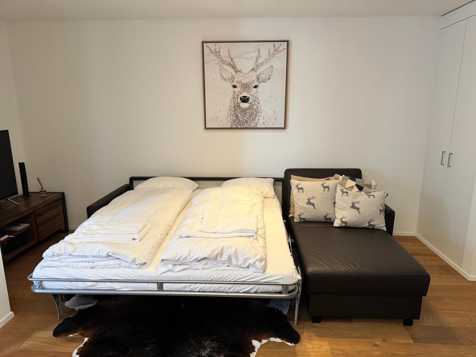 Beautiful Sunny New 1 Bed Apt Flims Exterior foto